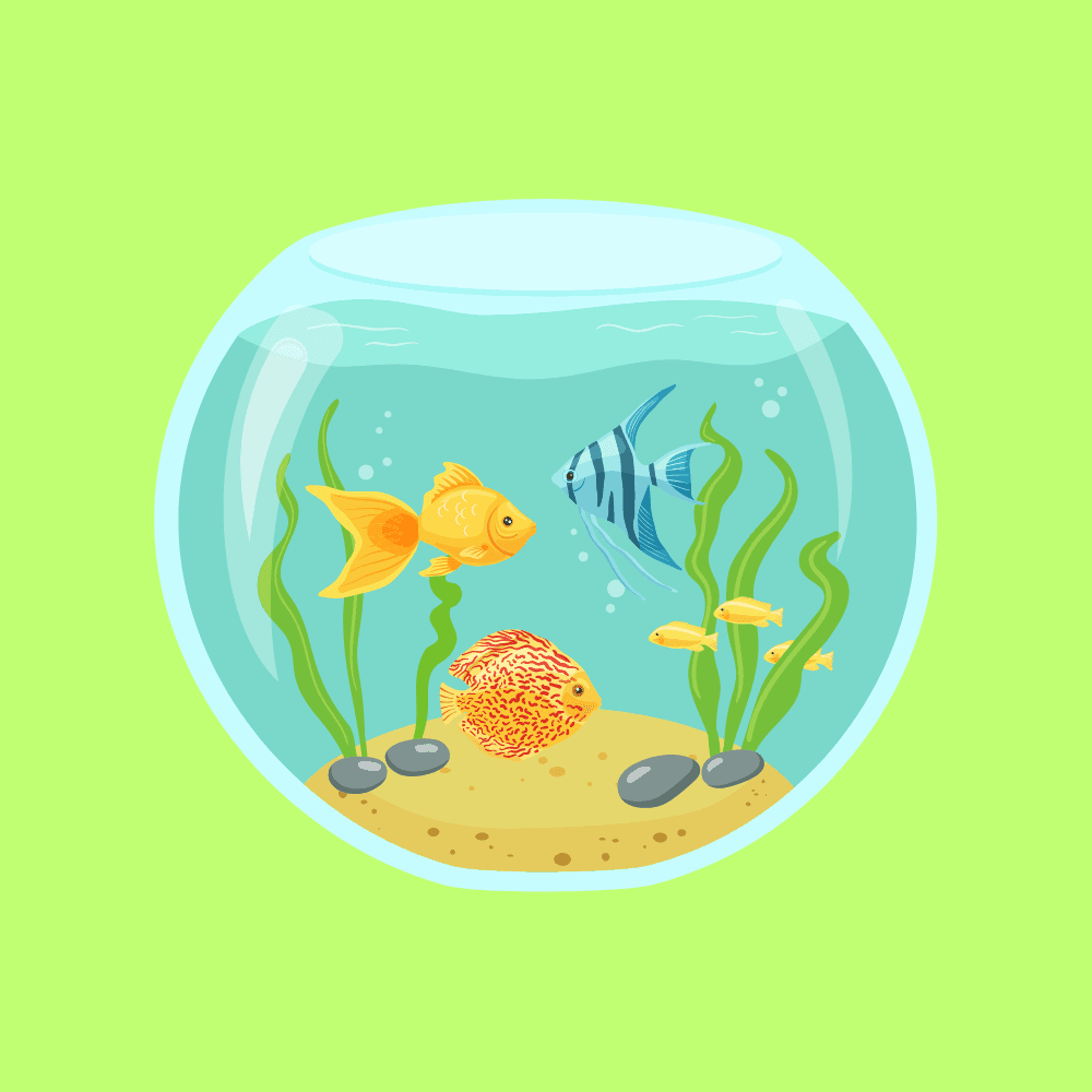 Aquarium