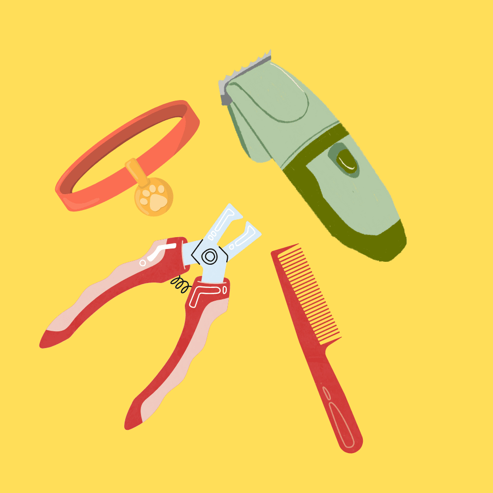 Accessories