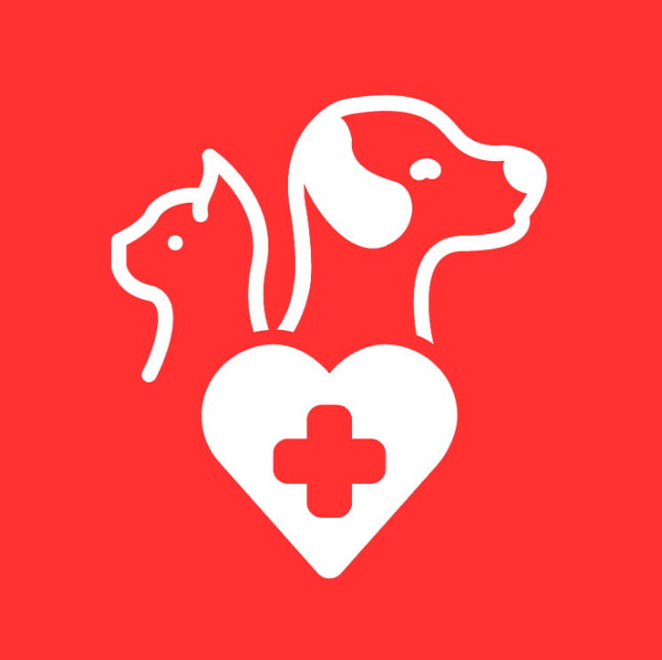 Cat Health & Wellness