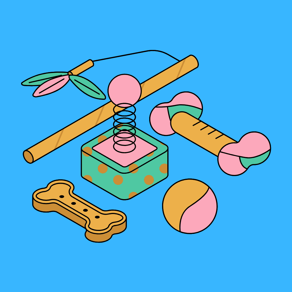 Cat Toys