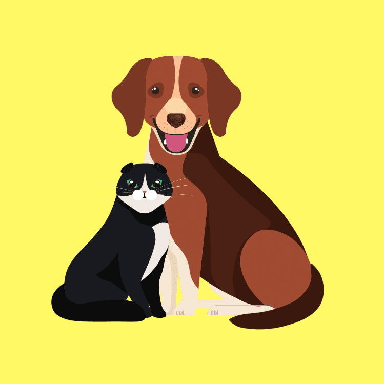 Cat & Dog