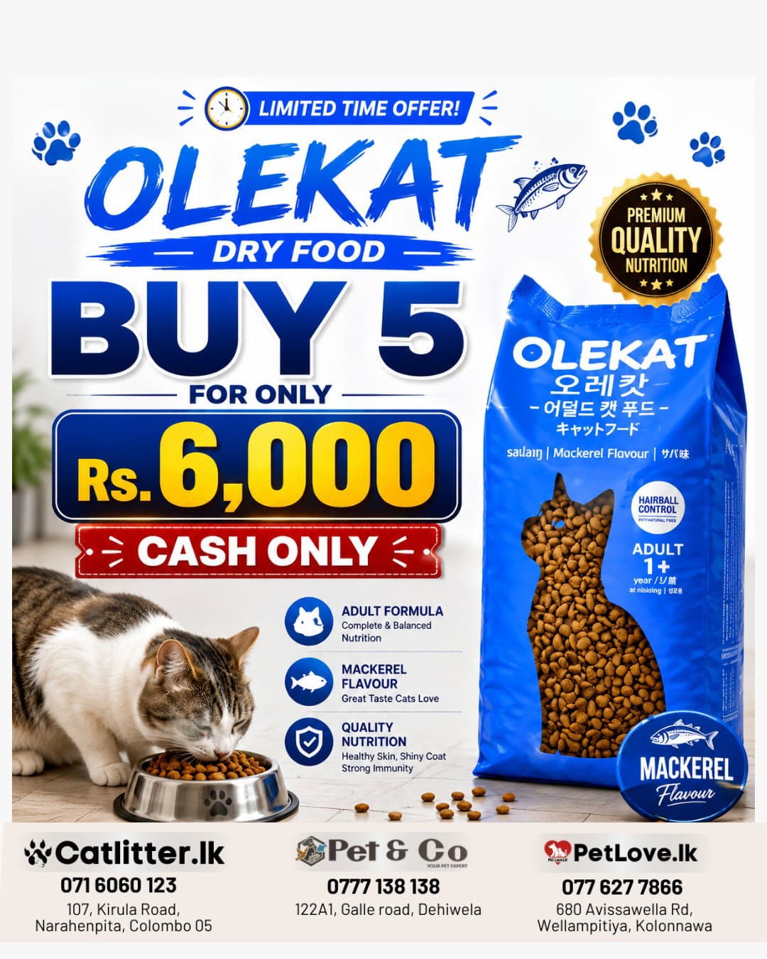 Ole Kat 5 Pack bundle