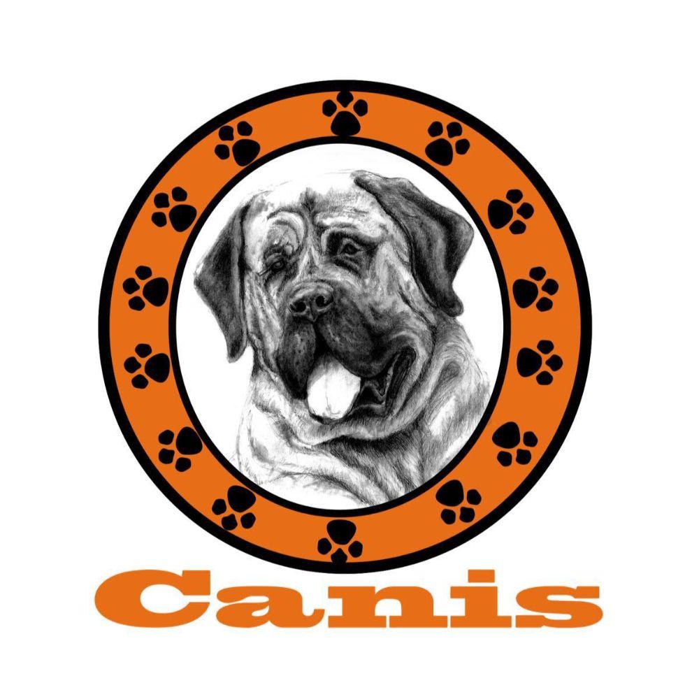 Canis