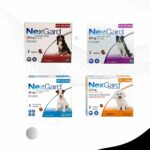 Nexgard Chewable Tablets