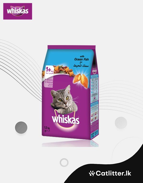 WS Template (1180 × 1508 px) (19)