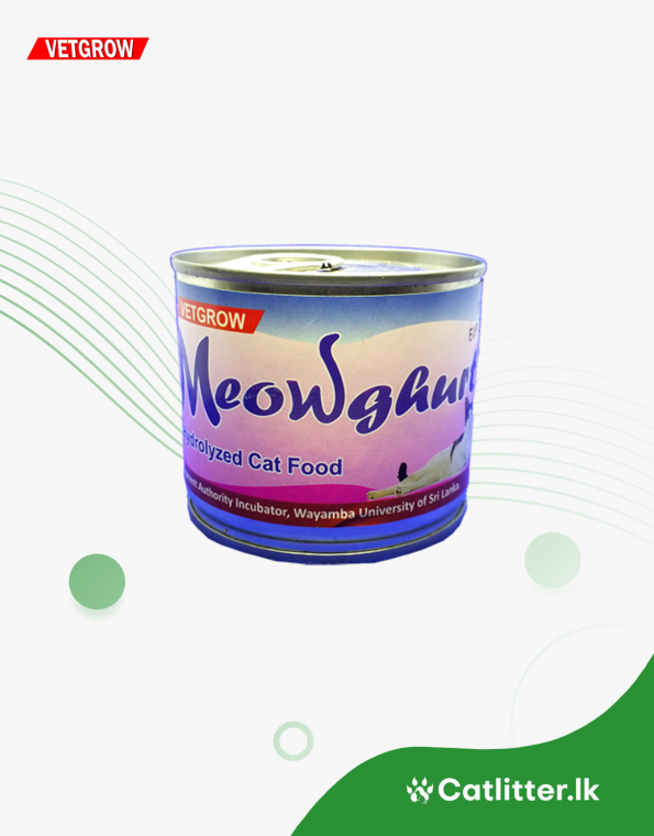 website (1)