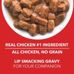 Drools Dog Wet Food (Adult)