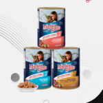 WS Template (13)