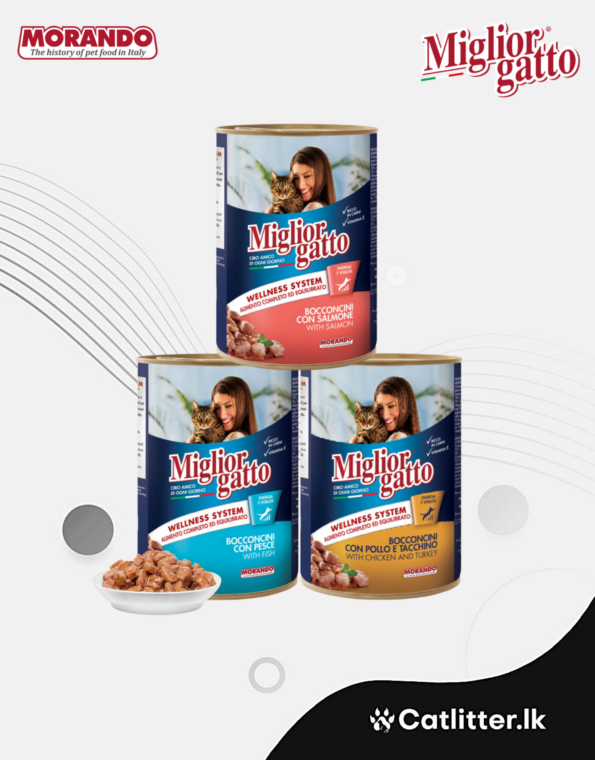 WS Template (13)
