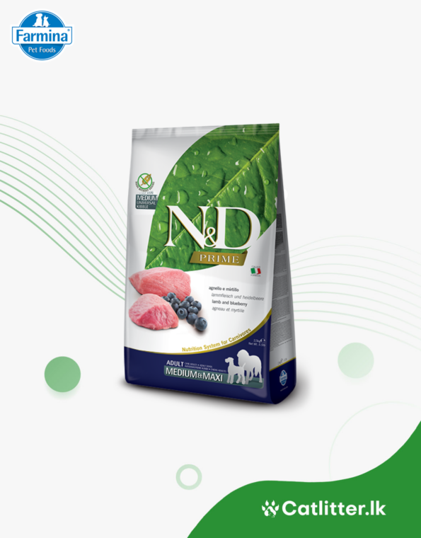 Adult (2)