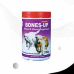 Bones-Up – Mineral & Vitamin Supplement