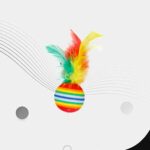 Feather Sponge Toy