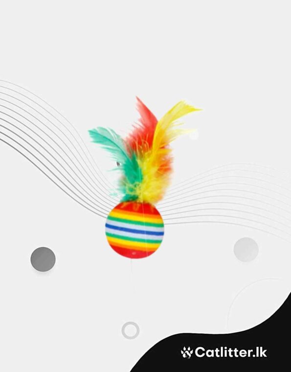 Feather Sponge Toy