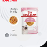 ROYAL CANIN Kitten Chunks in Jelly Wet Food 85g