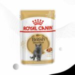 Royal Canin British Shorthair Wet Pouch