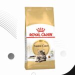 Webite Catlitter.lk (15)