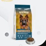 Divinus Performance Dog Adult 20kg