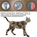 Flea And Tick Cat Collar