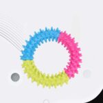 Rubber Ring Dog Chew Toy