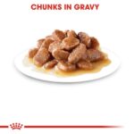 Royal Canin Intense Beauty Gravy Wet Food Pouch for Cats 85g