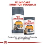Royal Canin Intense Beauty Gravy Wet Food Pouch for Cats 85g