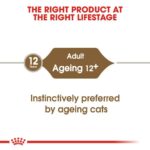 Royal Canin Ageing 12+ Gravy Wet Food Pouch for Cats 85g