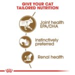 Royal Canin Ageing 12+ Gravy Wet Food Pouch for Cats 85g