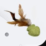 farm duck (7)