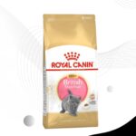 Royal Canin British Shorthair Kitten 2kg