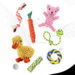 Webite Catlitter.lk (6)