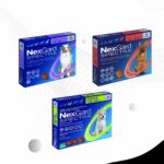 Nexgard SPECTRA Chews