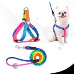 Rainbow Color Dog Puppy Leash With Harness