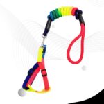Rainbow Color Dog Puppy Leash With Harness